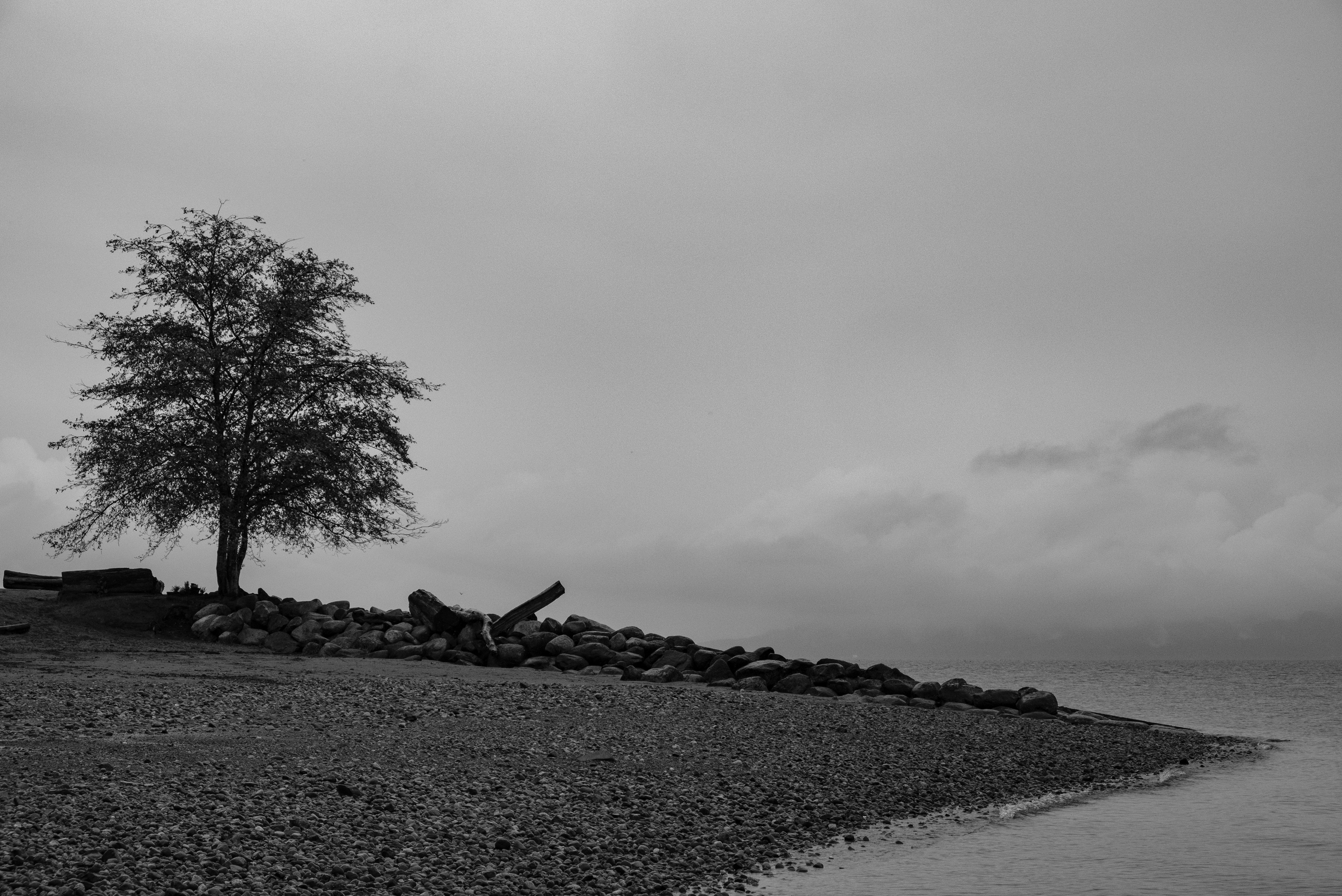 Alone With a View