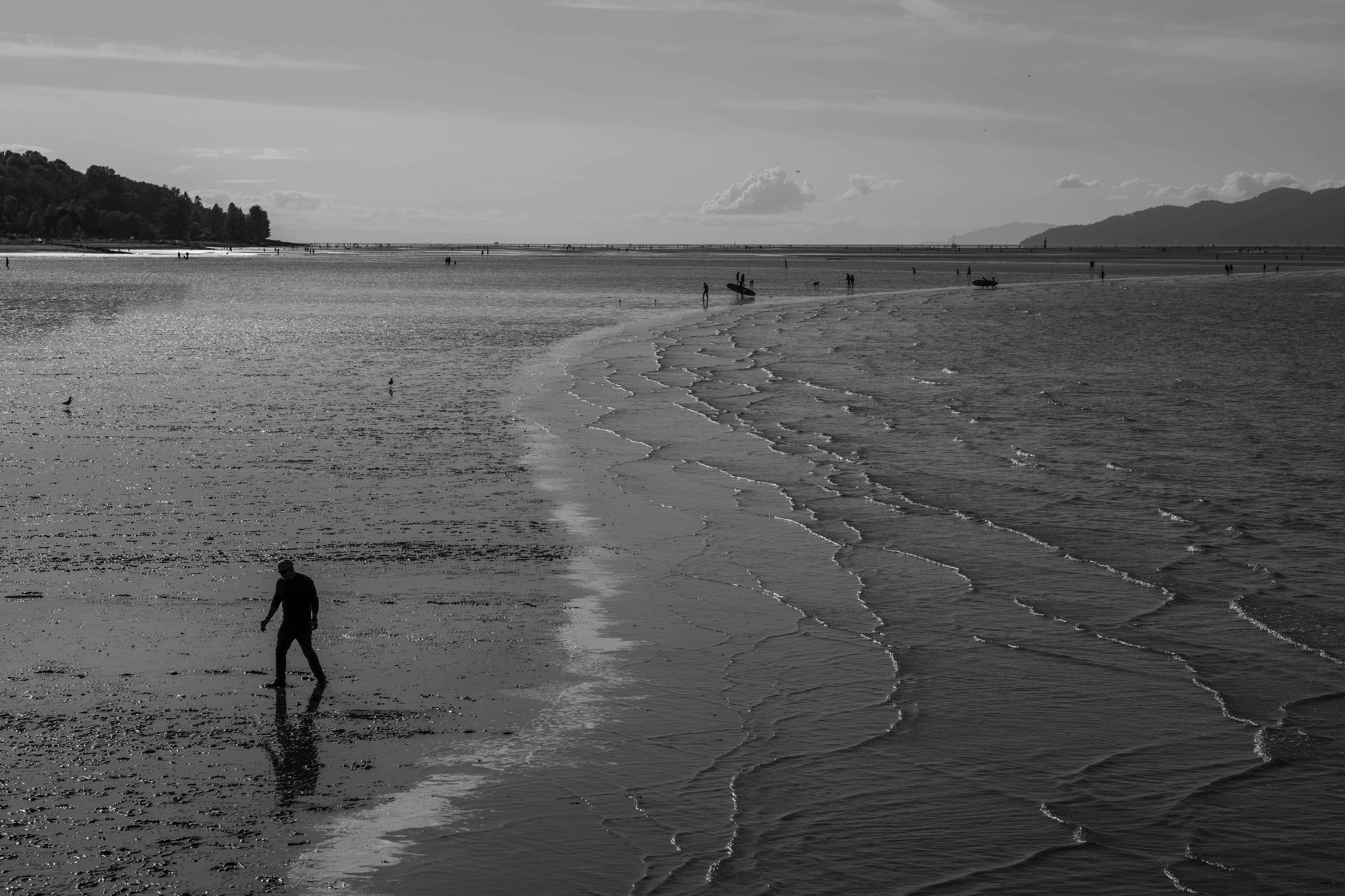 Low Tide Shoreline