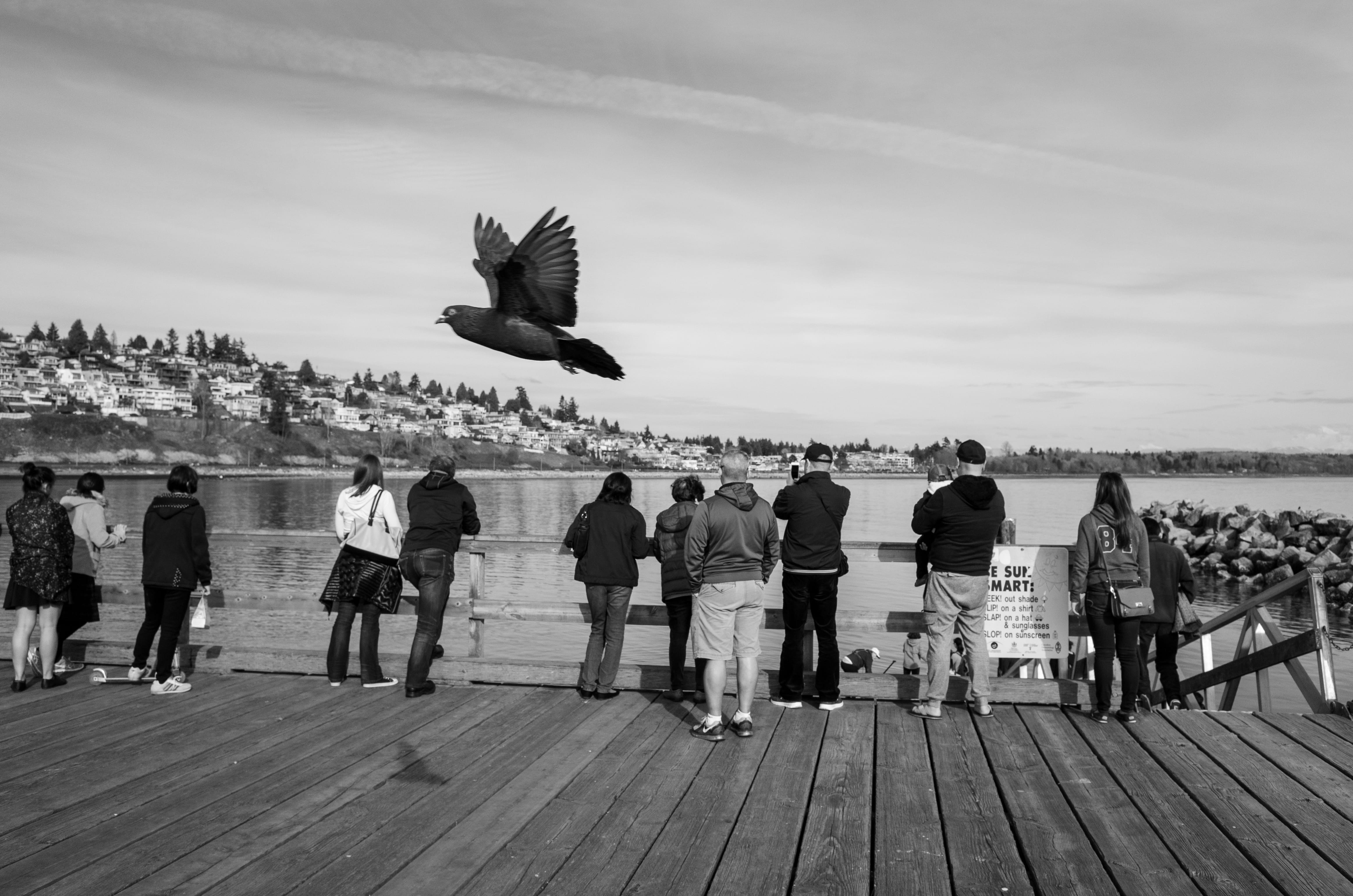 Fly By