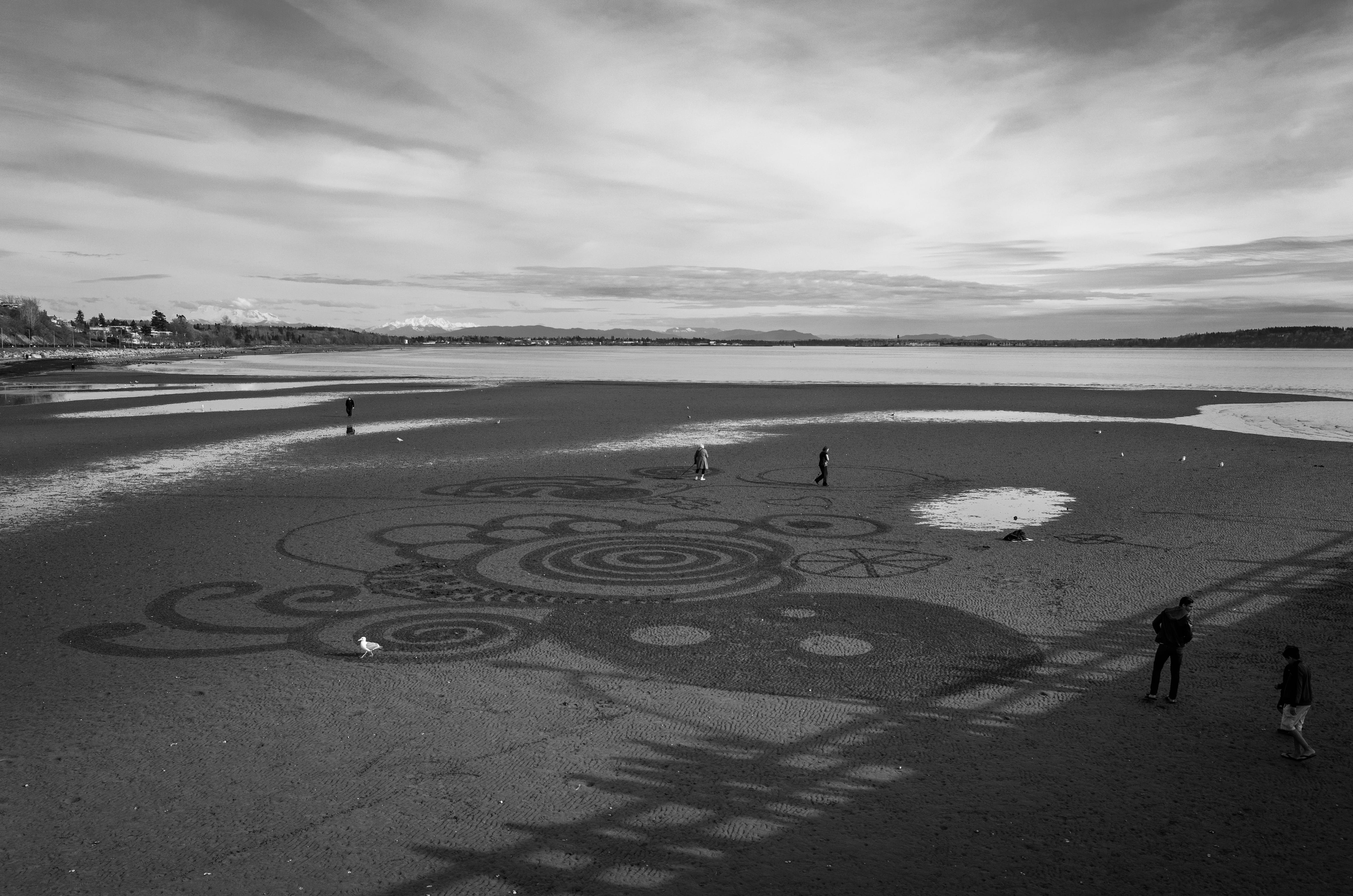Sand Circles