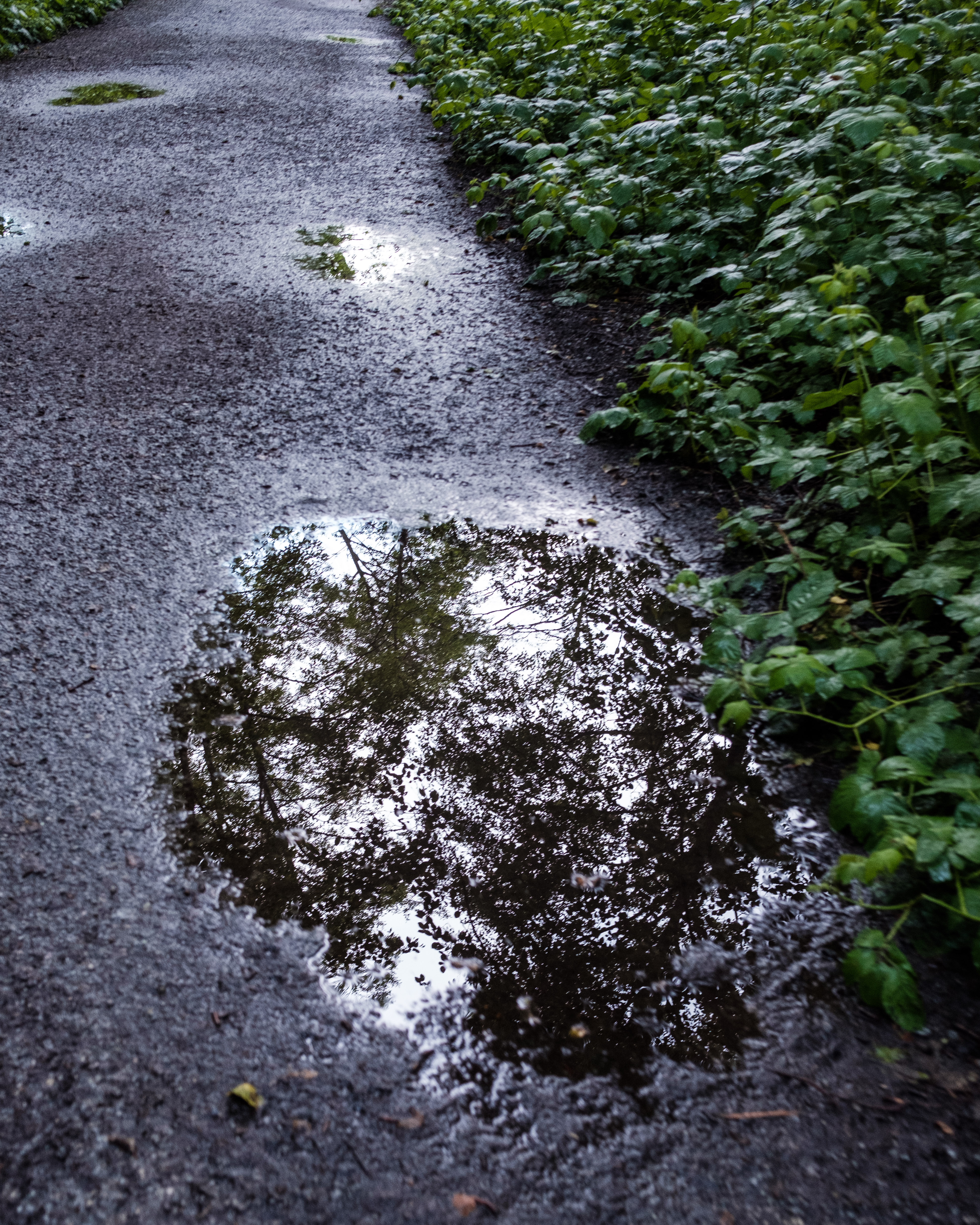 Path Puddles