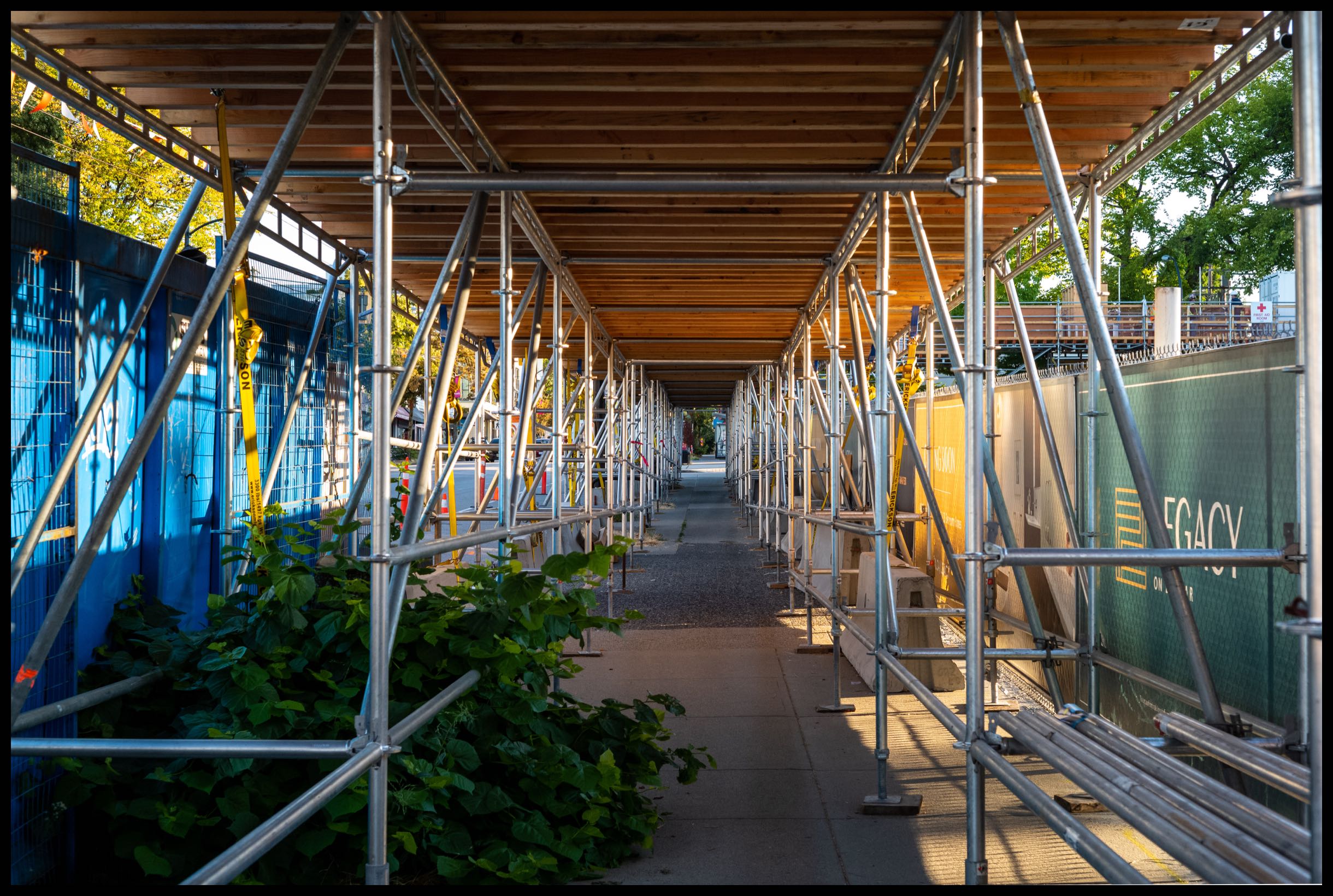 Scaffolded