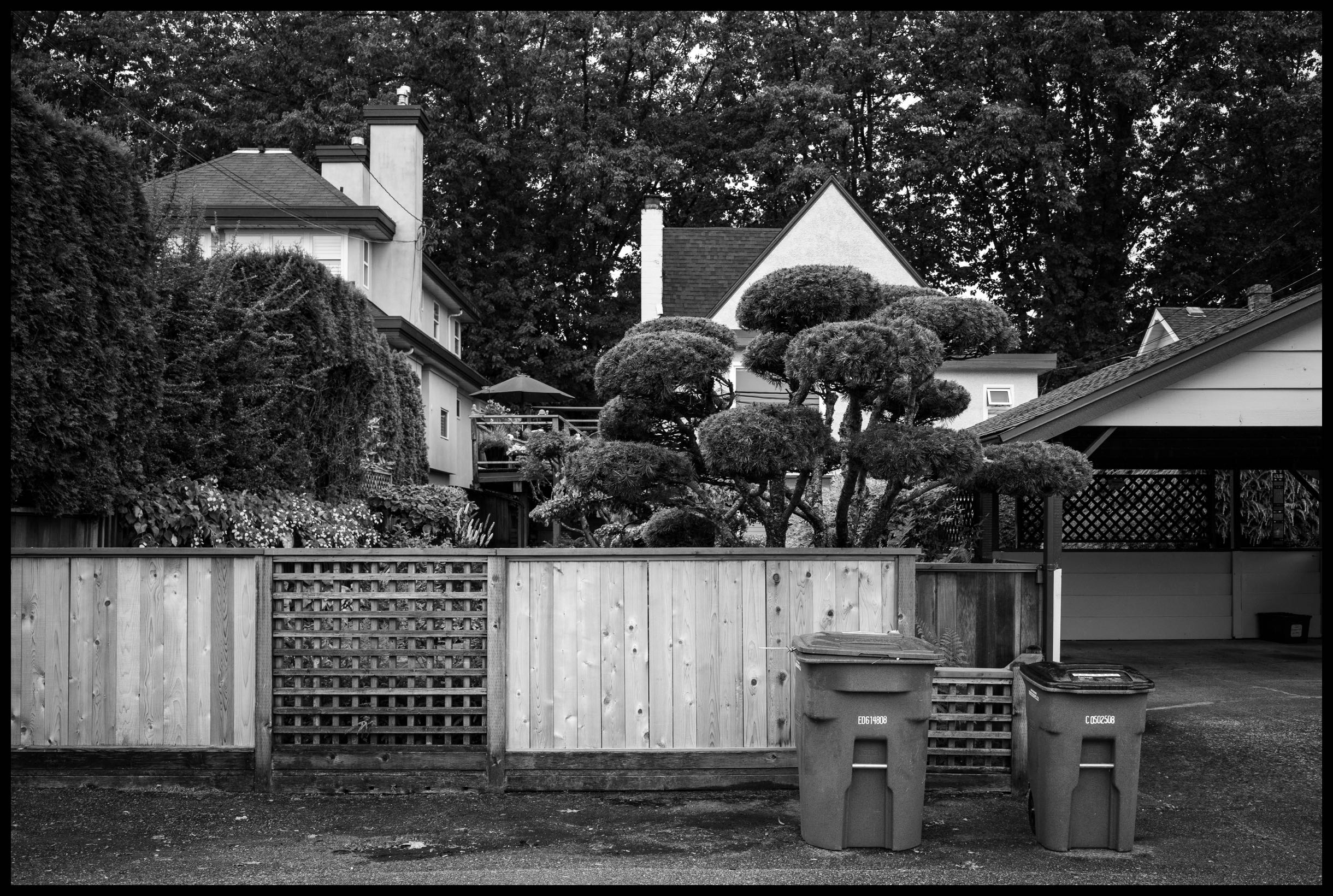 Laneway Landscape