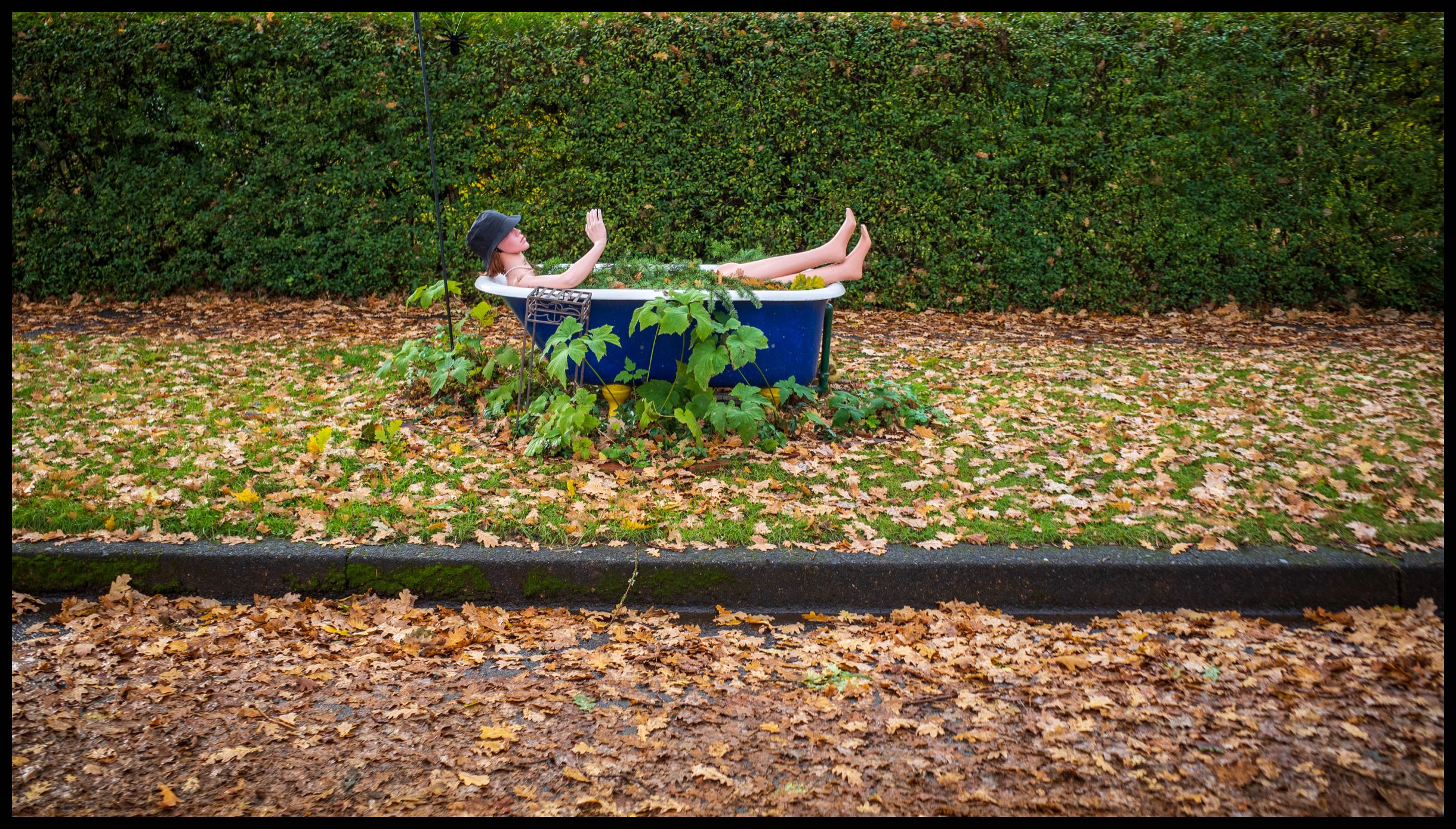 Leaf Bath 1