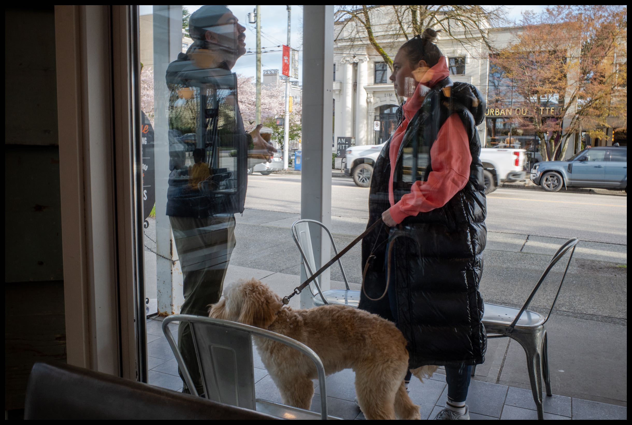 Cafe Canine