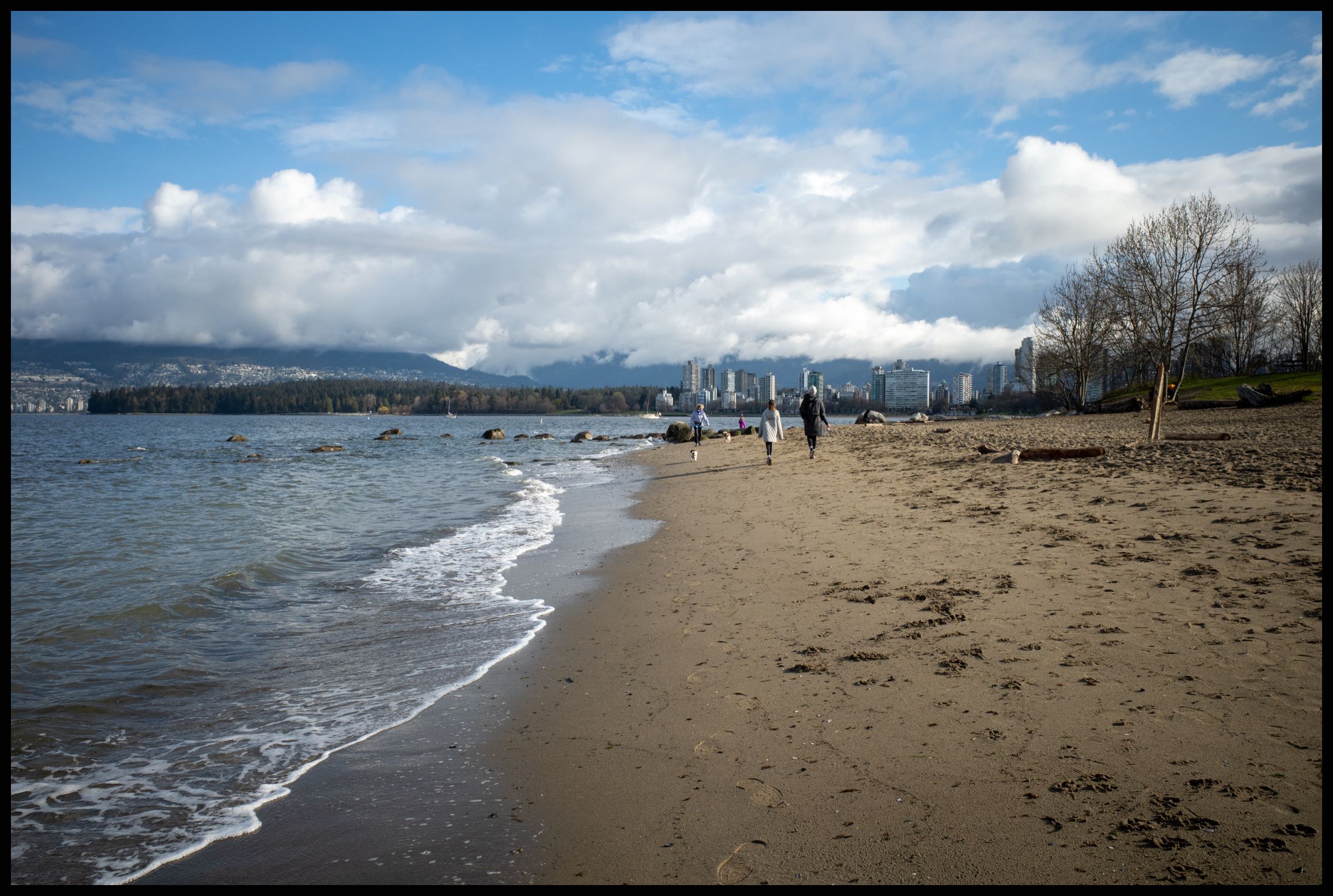 Shoreline Stroll