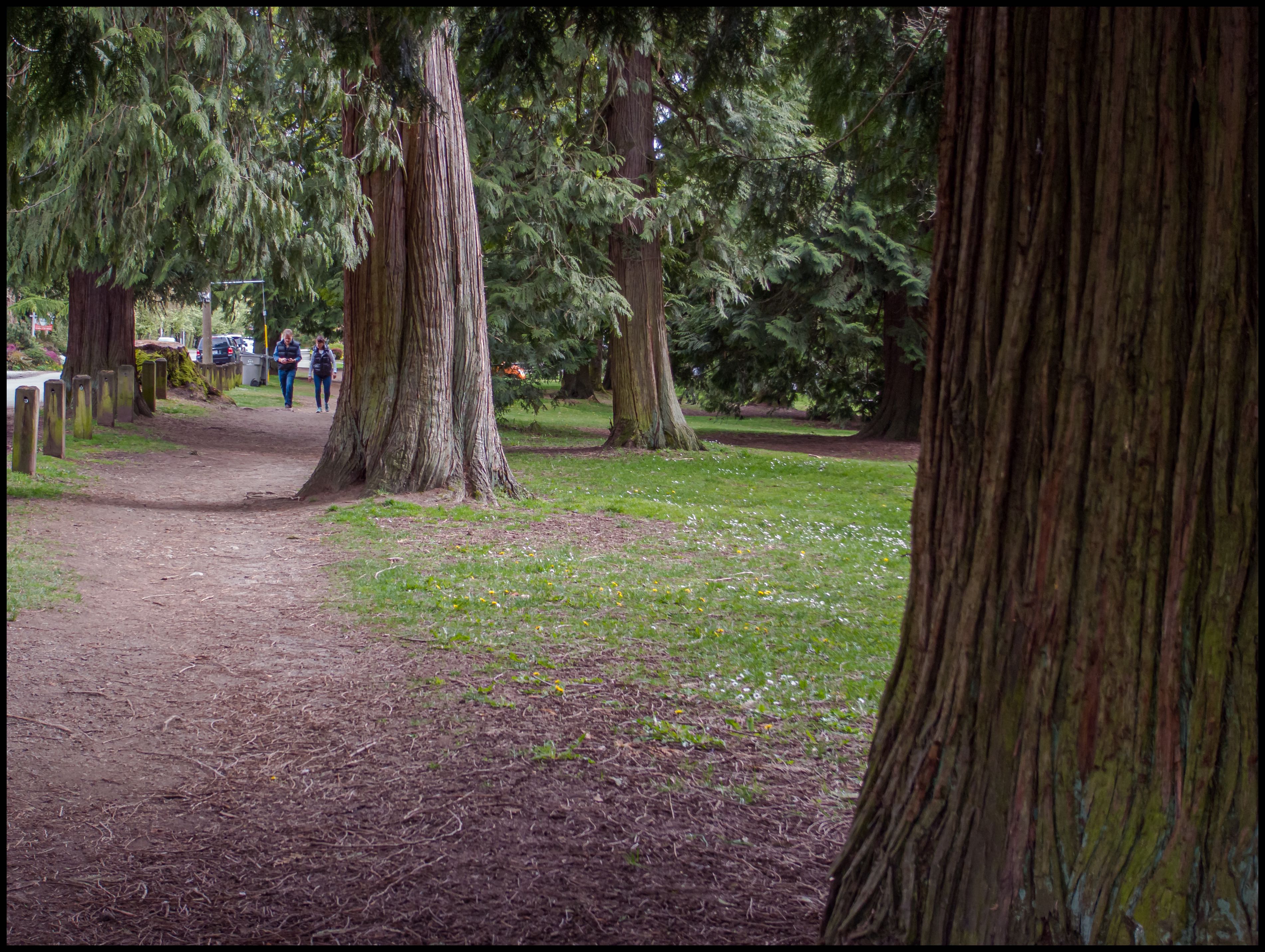 50mm equivalent, 1/60 sec, f3.5, ISO 64