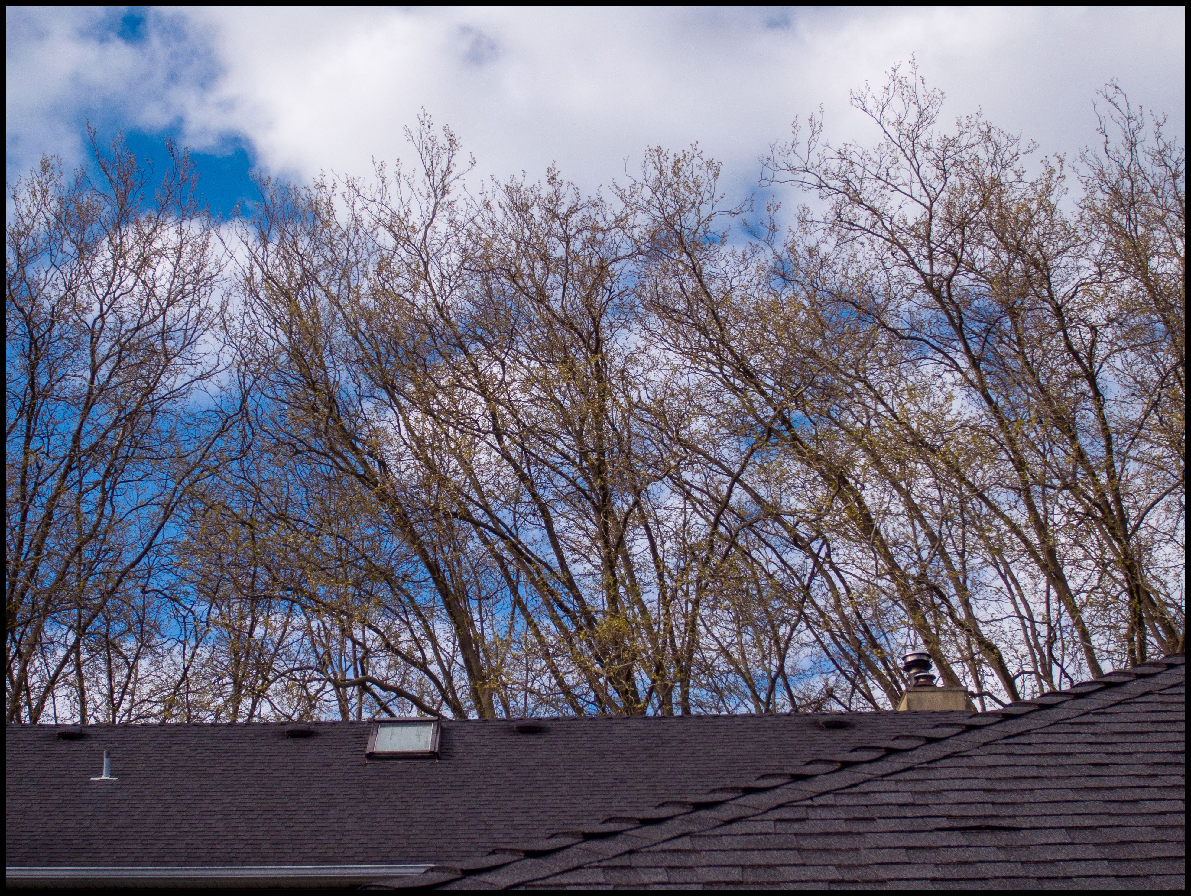 72mm equivalent, 1/750 sec, f5.0, ISO 64