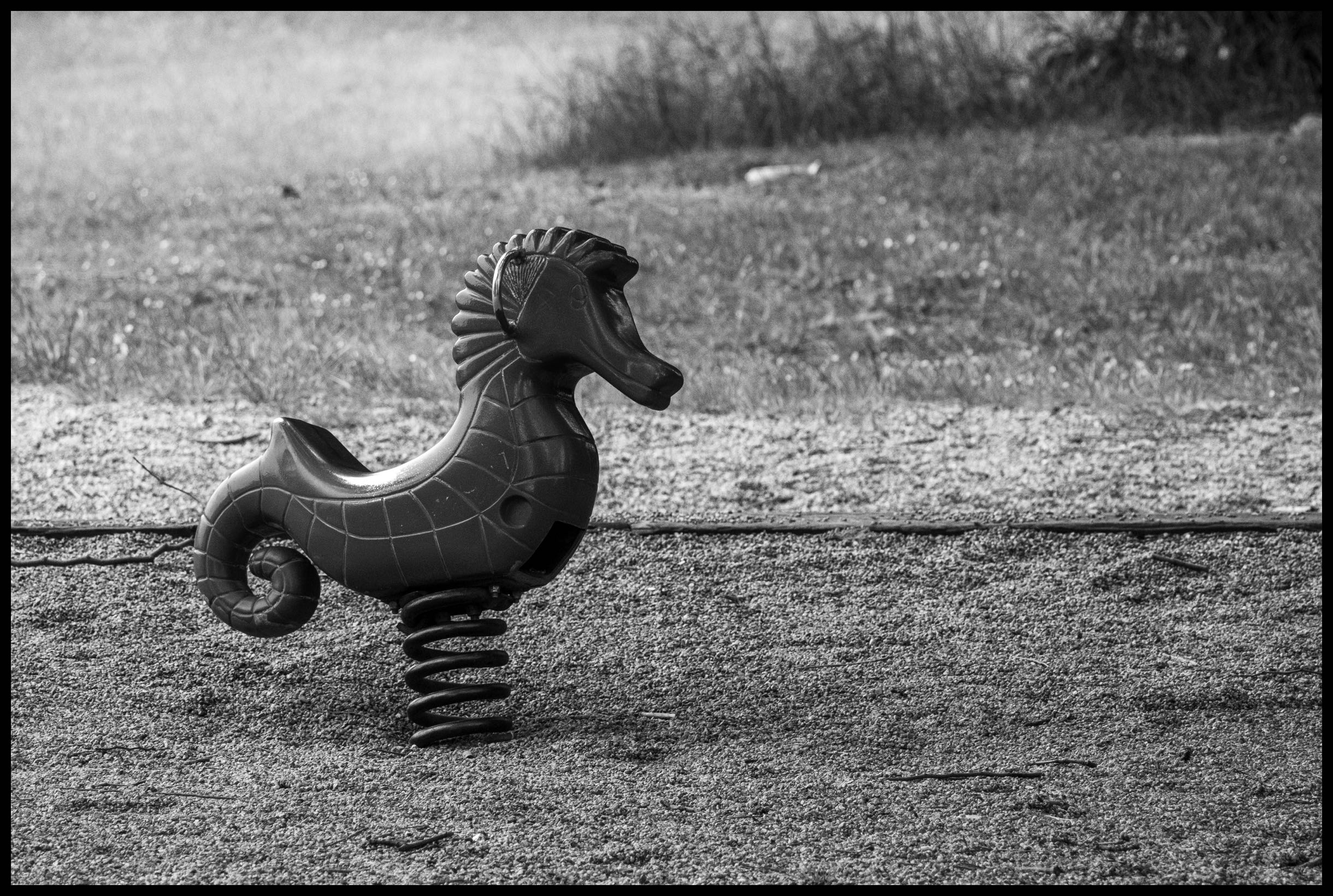 Seahorse