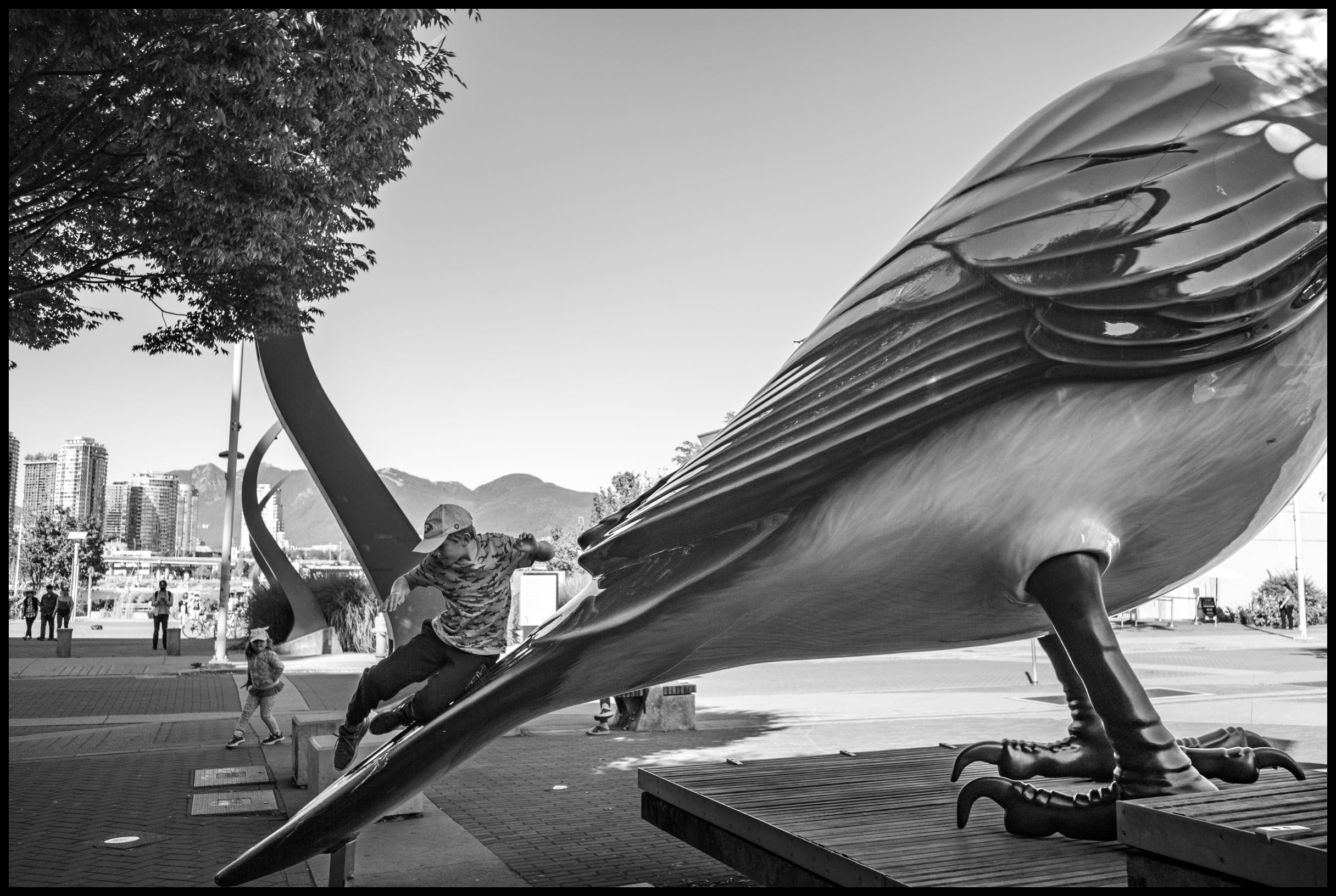 Bird Slide
