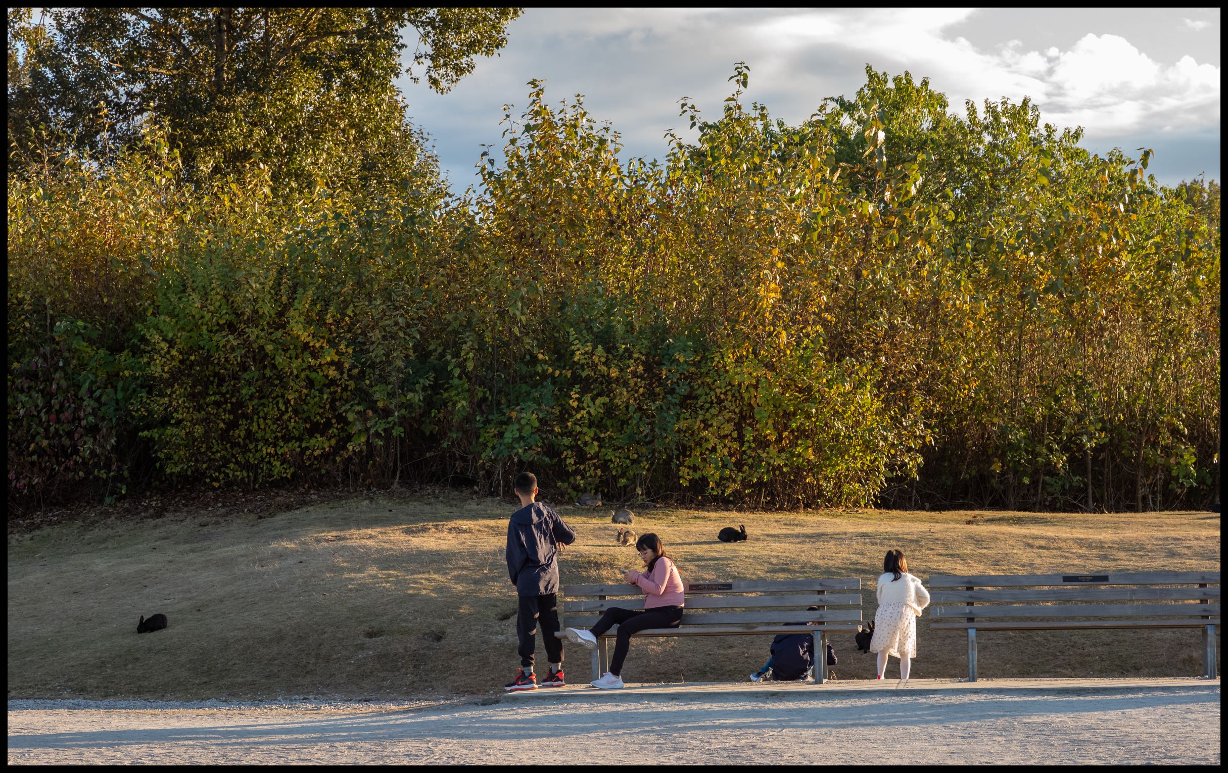 Divided attention, Leica M10