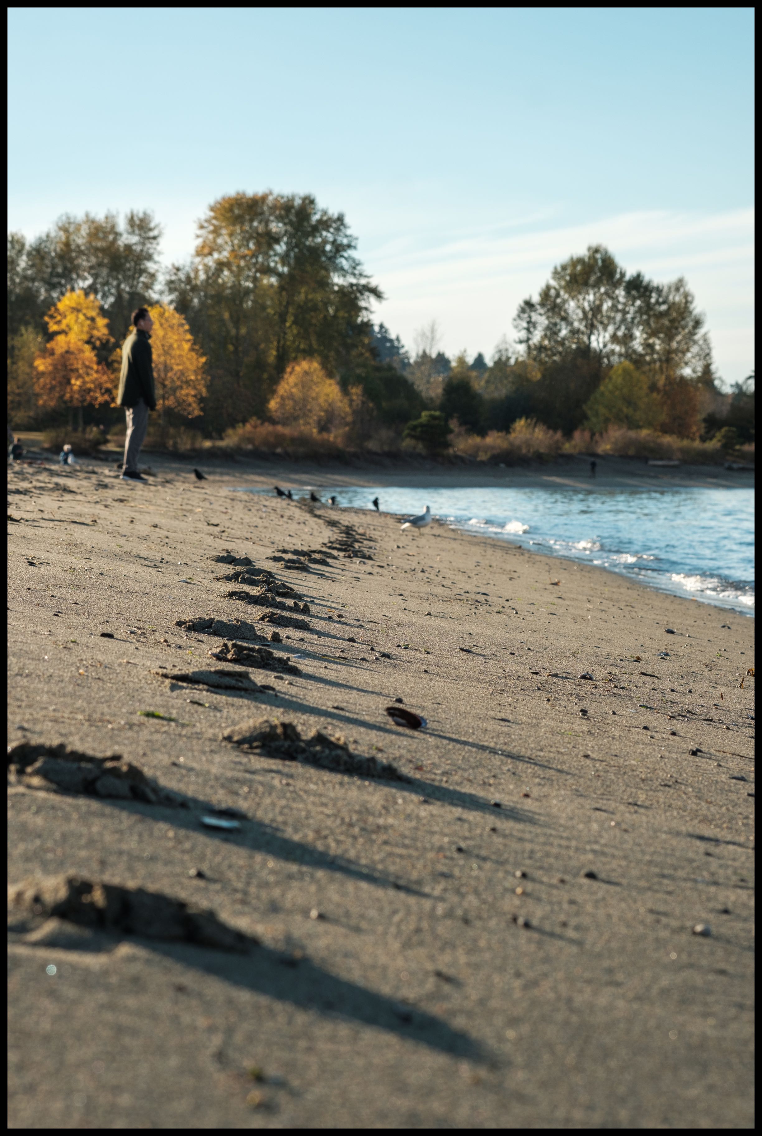 Footprints 1