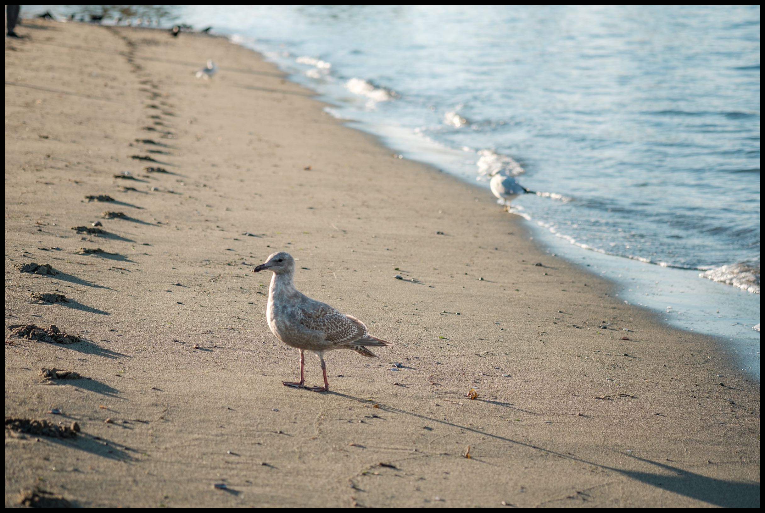 Footprints 2