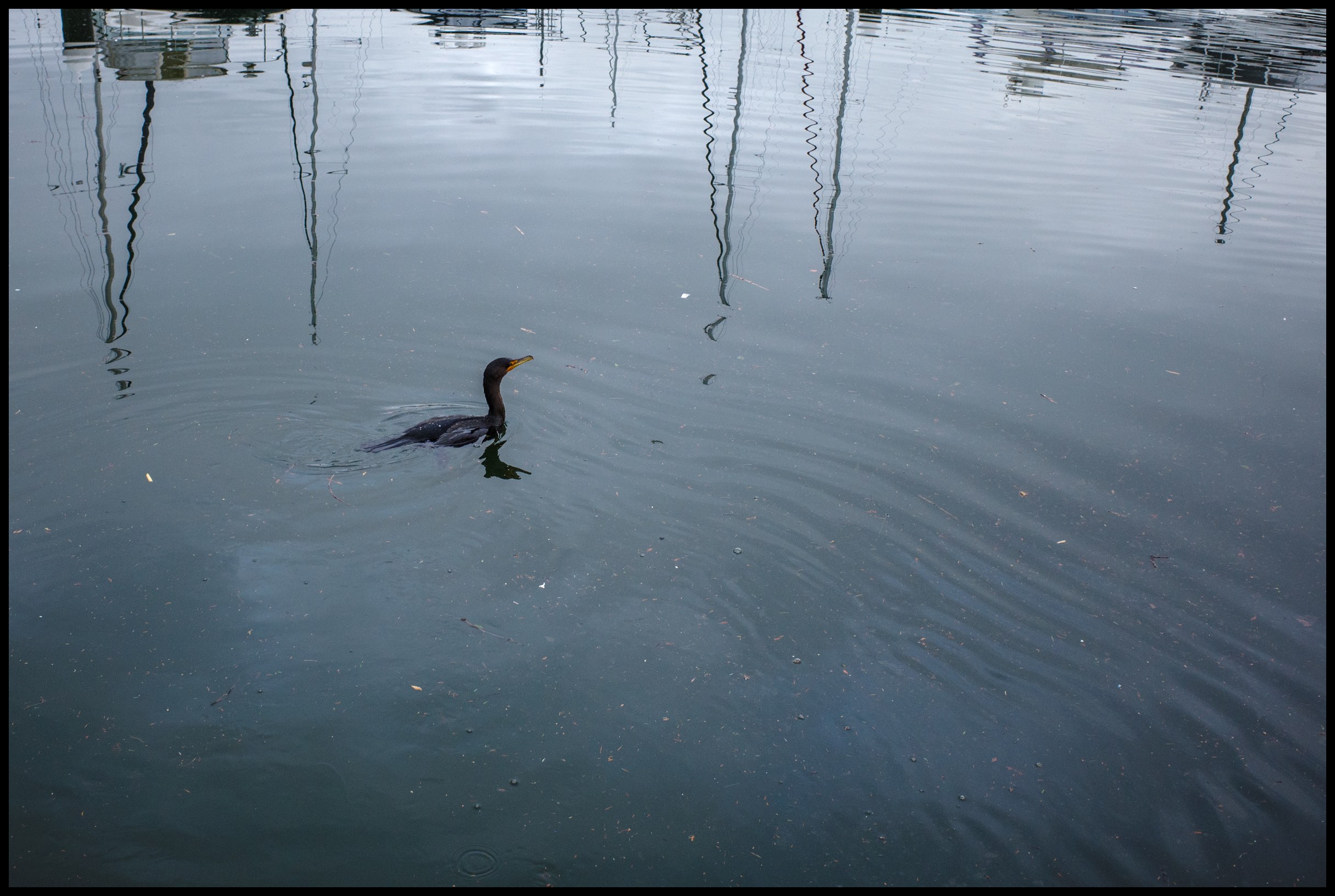 Fishing