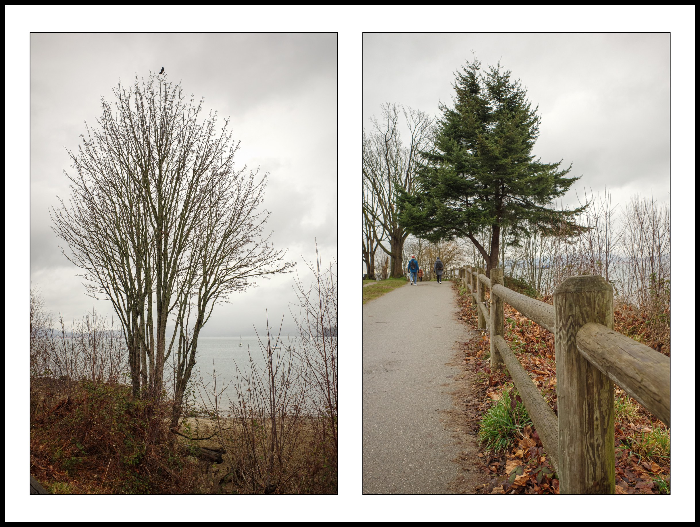 Tree Scenes
