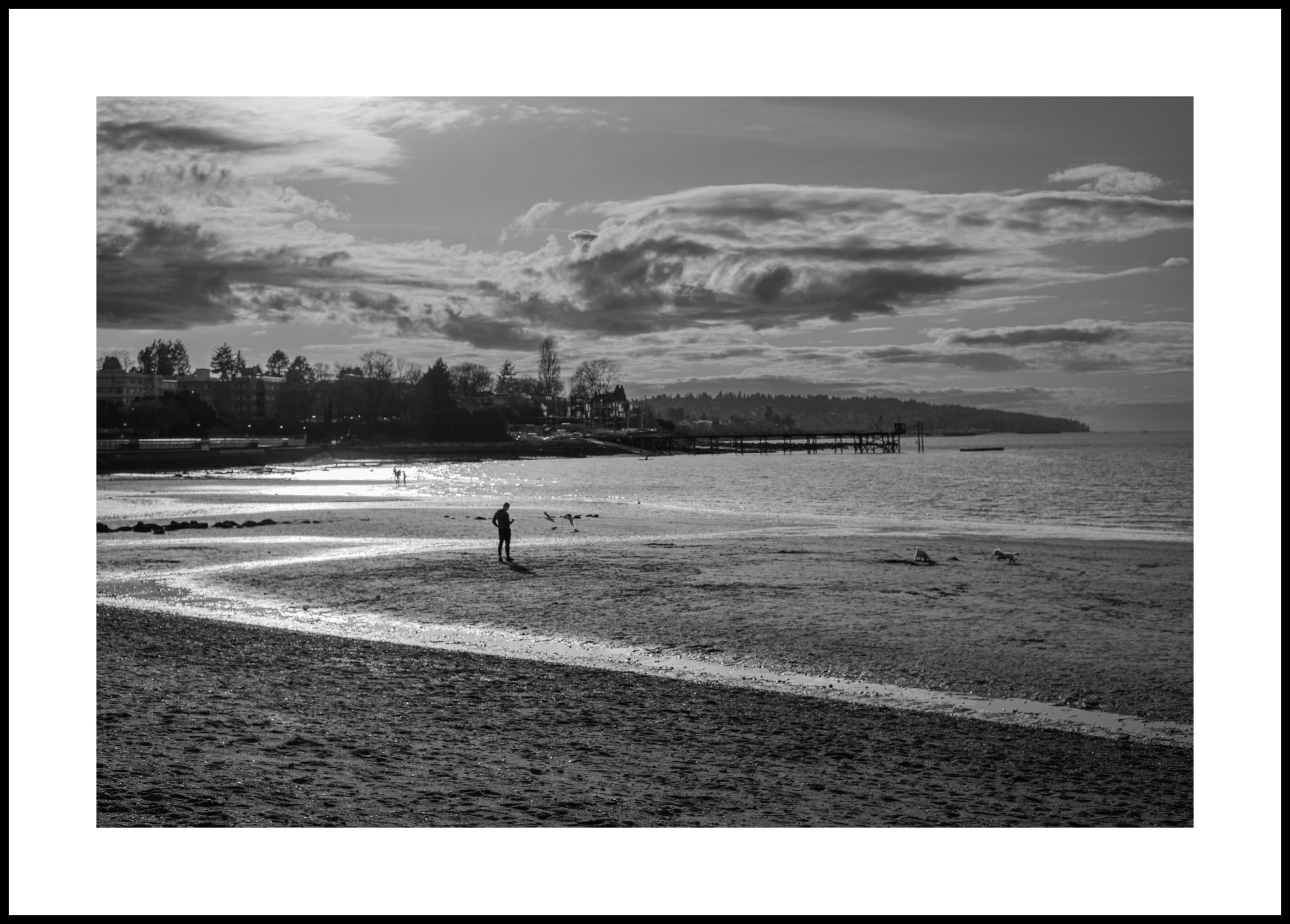 Late Afternoon Low Tide - Leica M10, Zeiss 50mm f1.5 ZM Sonnar