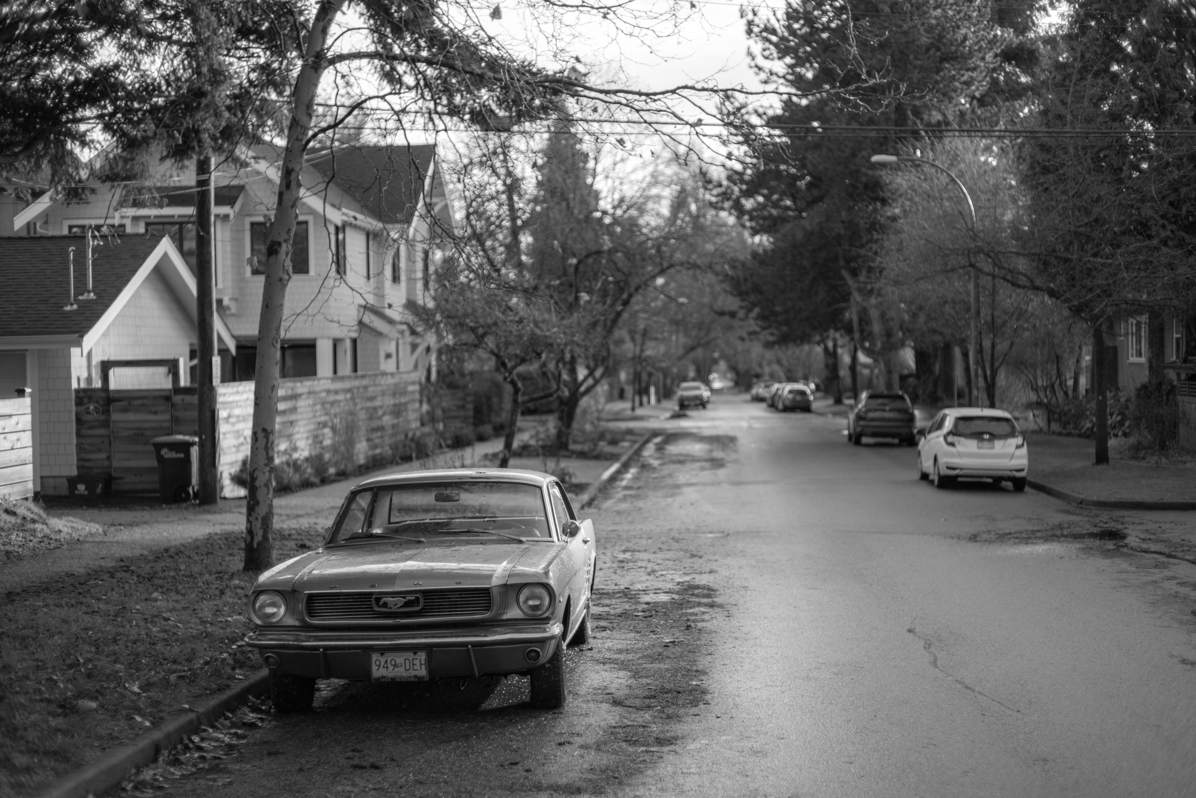 Alma St.