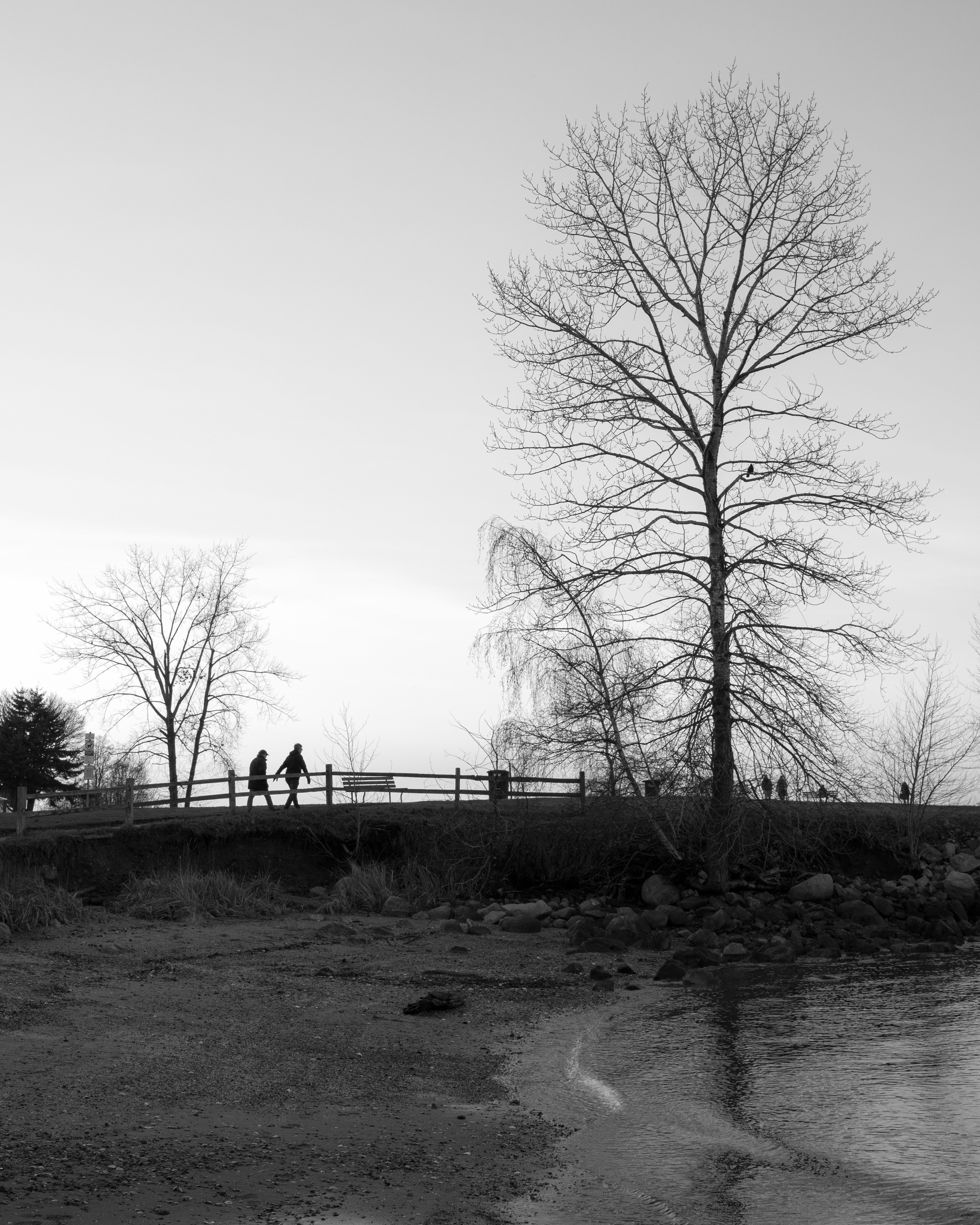 Path To Elsje Point