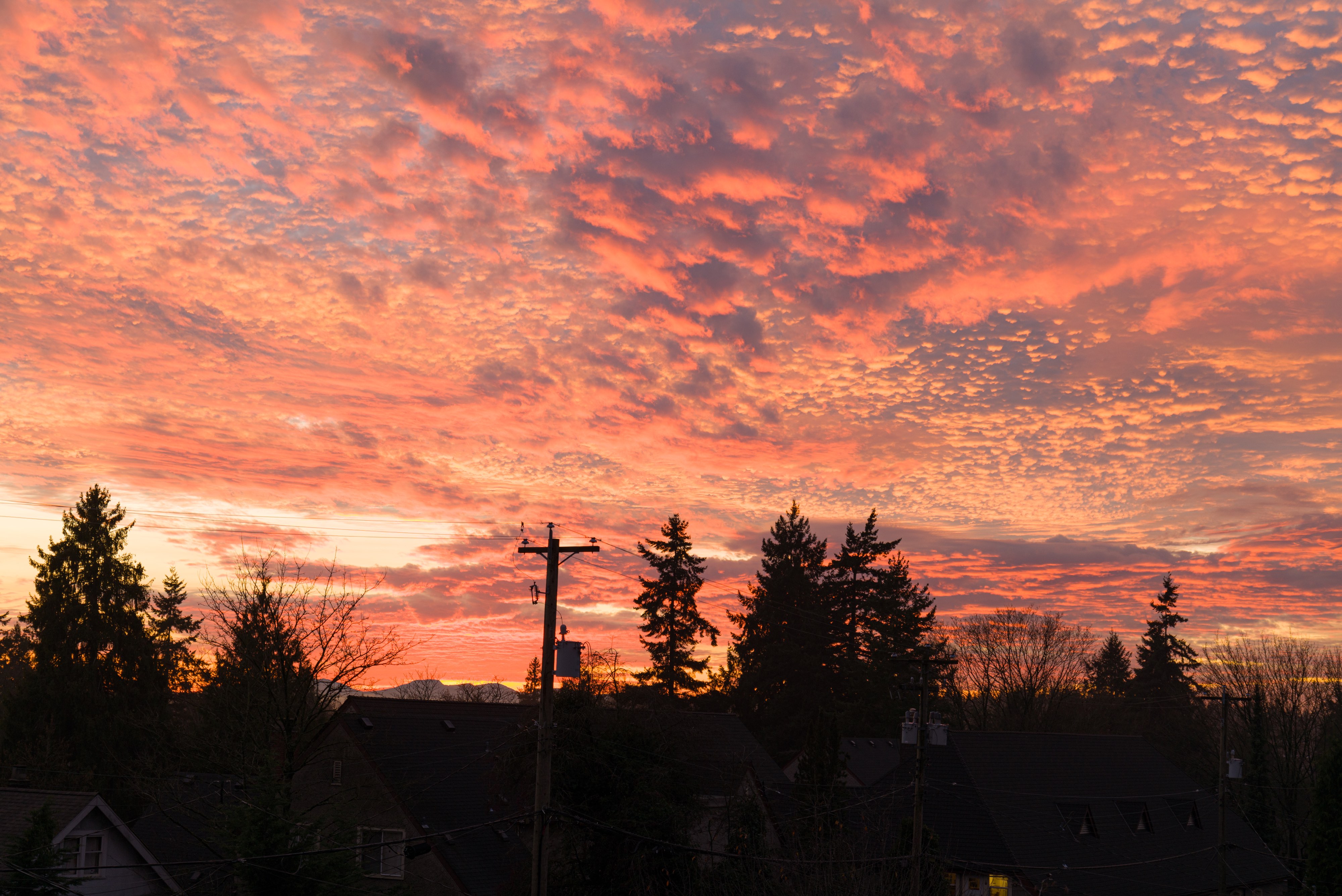 December Sky