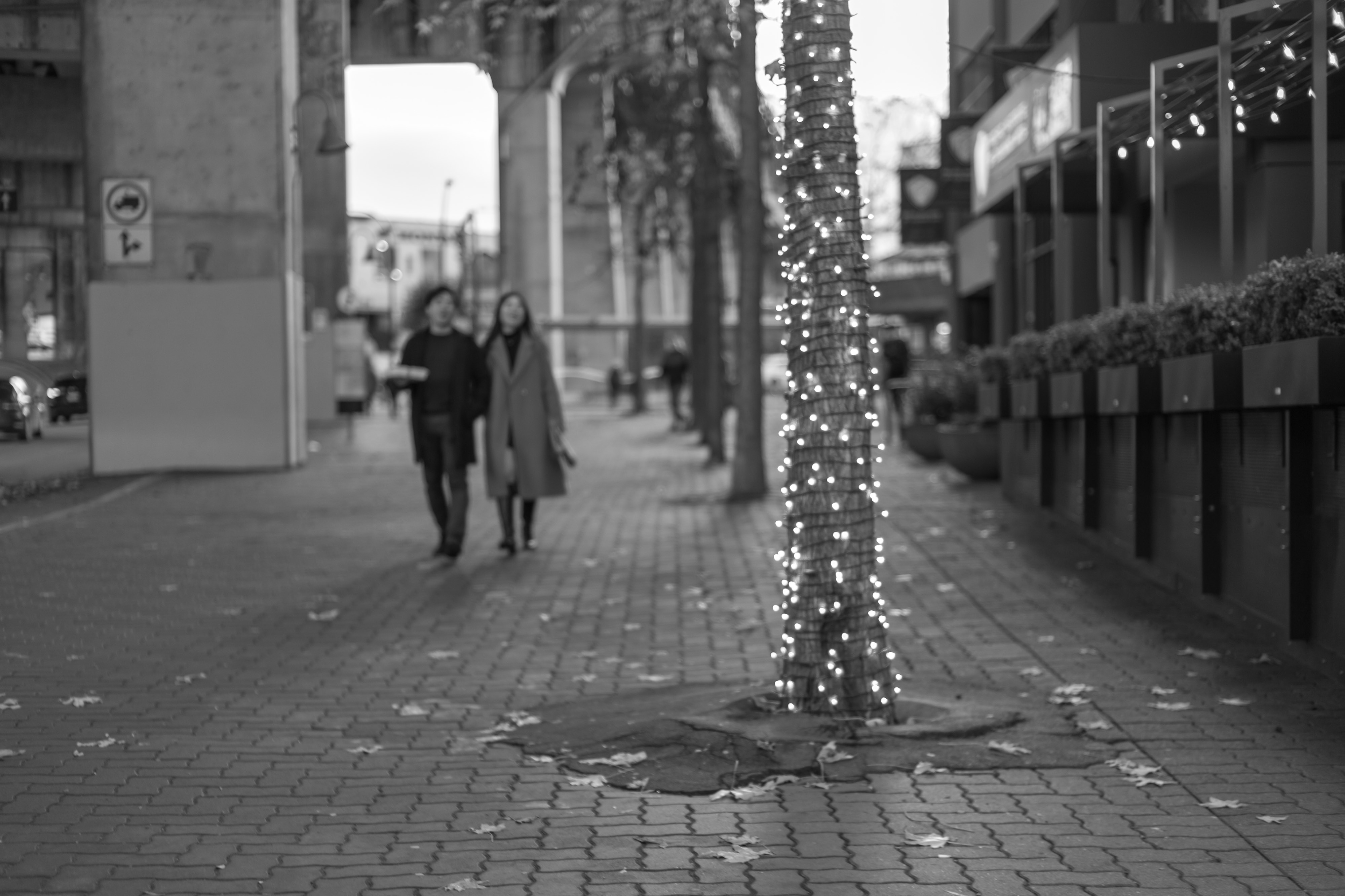 Festivus