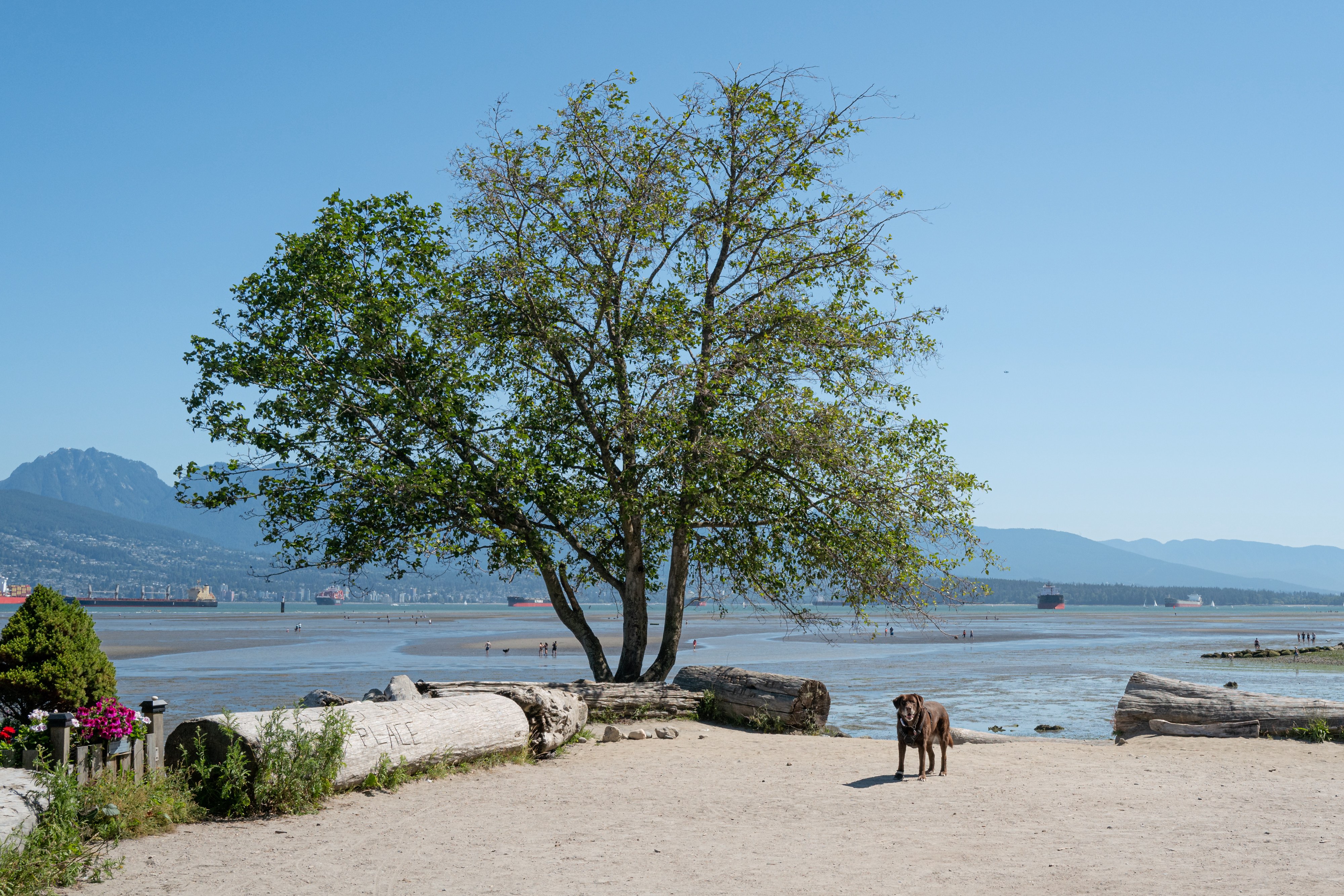 Leica Q2 28mm f8