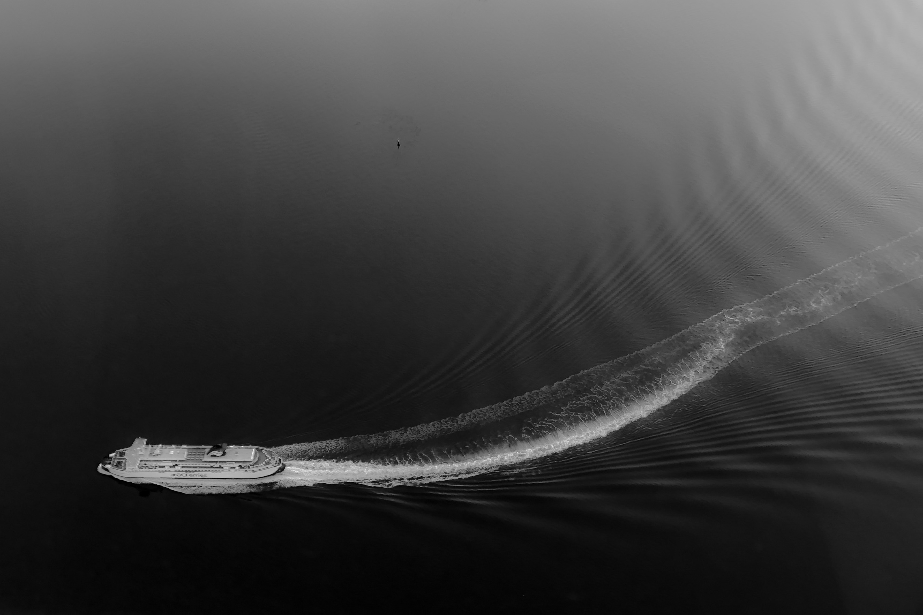 Salish Sea — En Route 2019