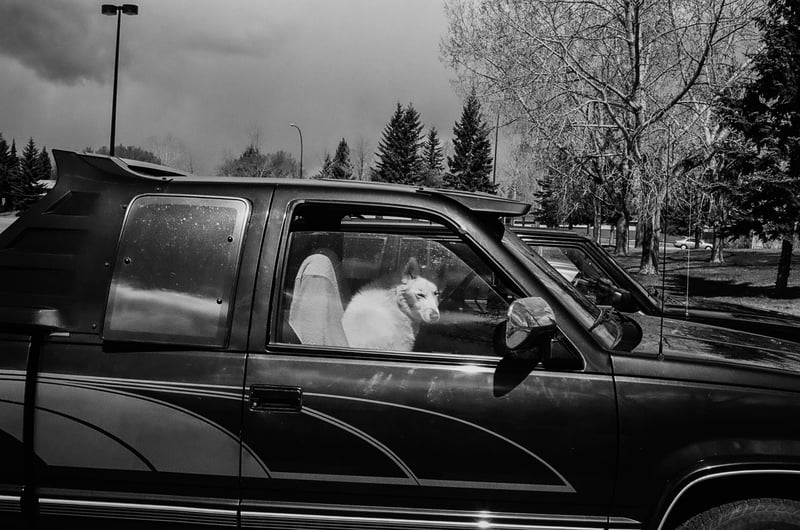 Passenger — Calgary 2010