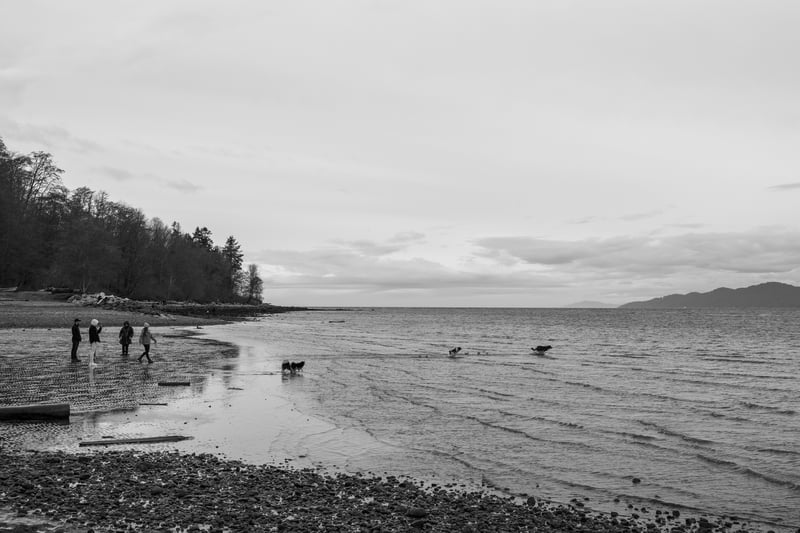 The Chase