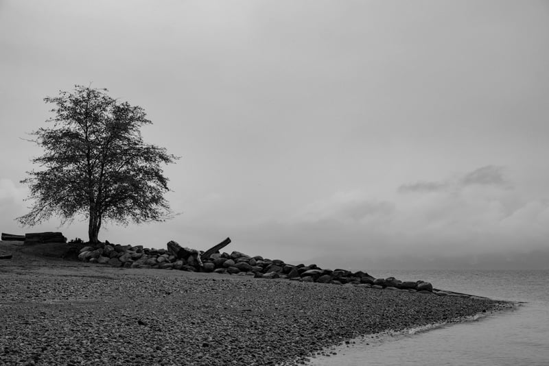 Alone With a View
