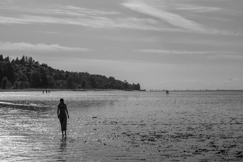 Walk in the Wet Sand