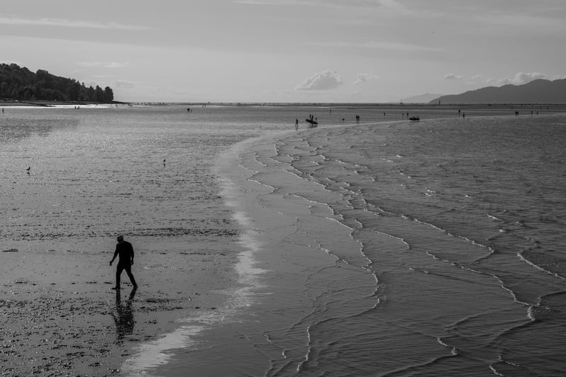 Low Tide Shoreline