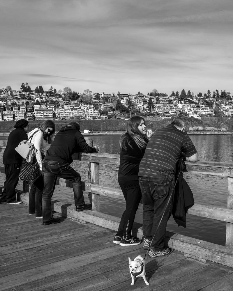 Pier Pooch 2
