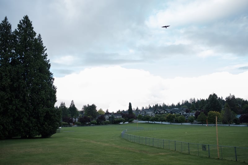 Wings Over Chaldecott