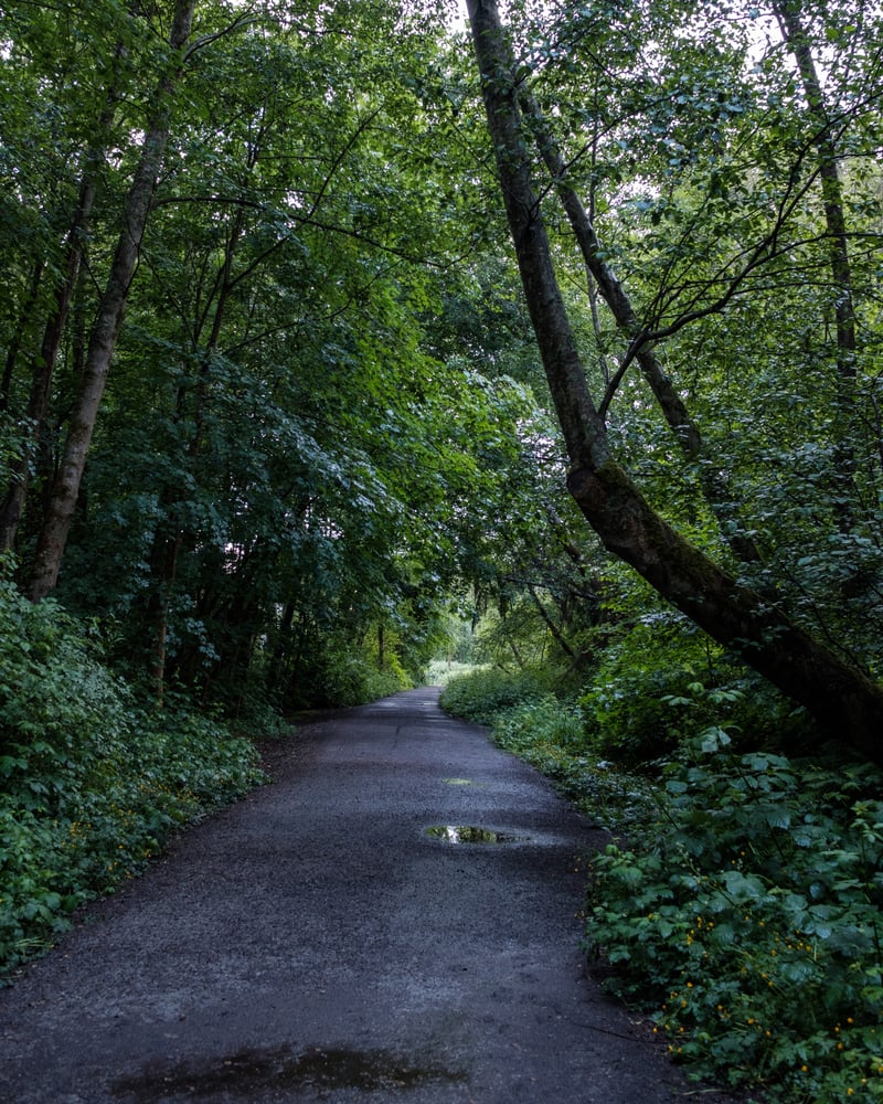 King Ed & Crown Trailhead