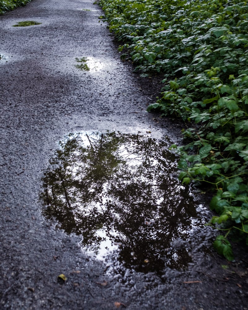Path Puddles