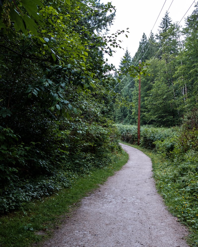 Pole on Path