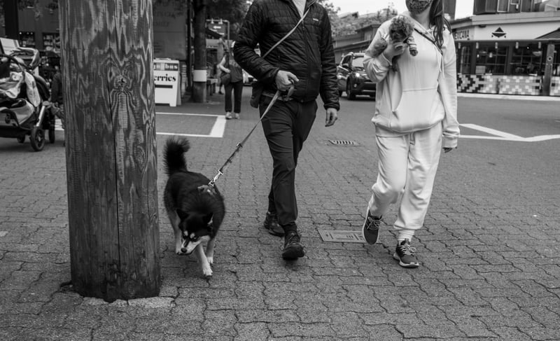 Contrast Couples