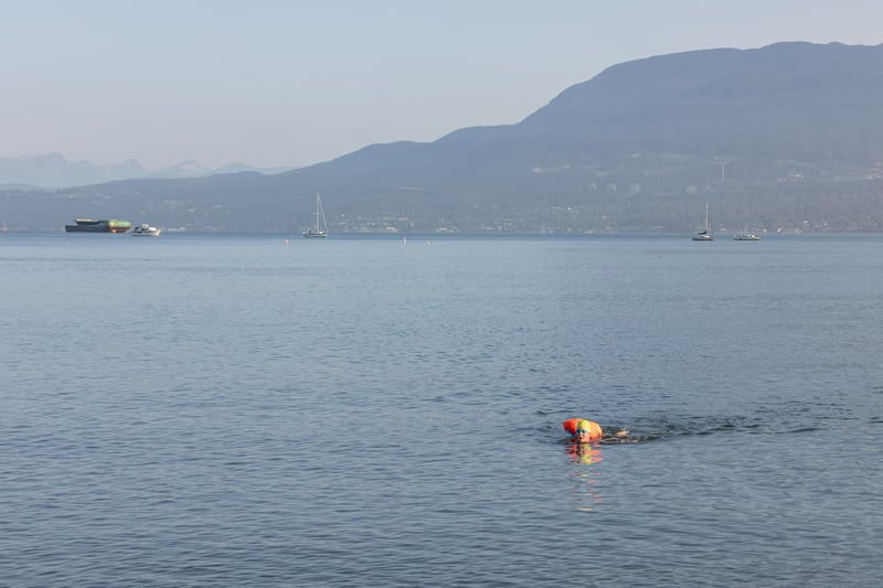 Morning Swim