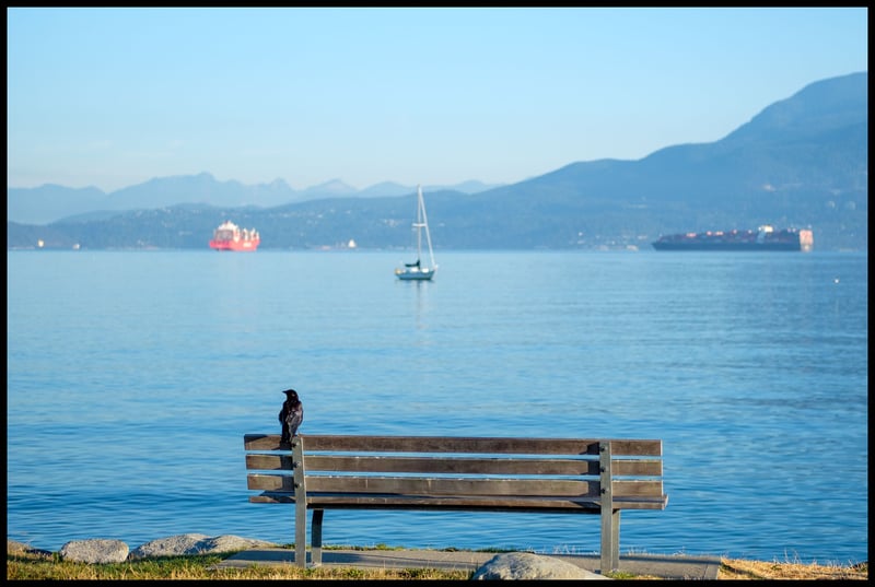 Bench with a View