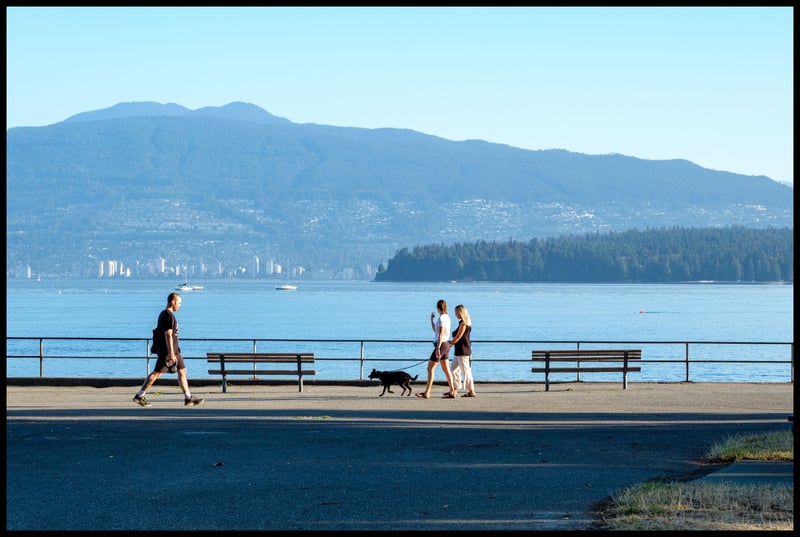 Morning Strolls