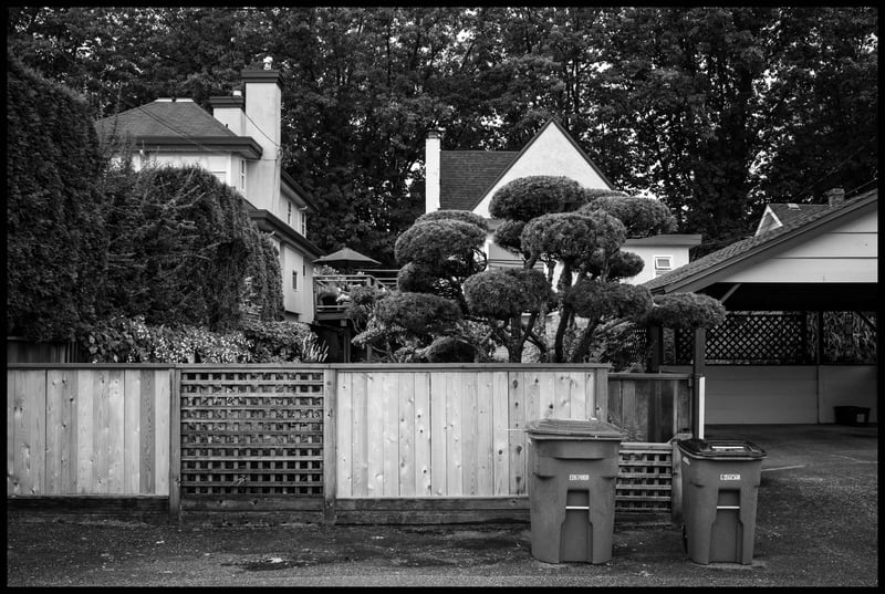 Laneway Landscape