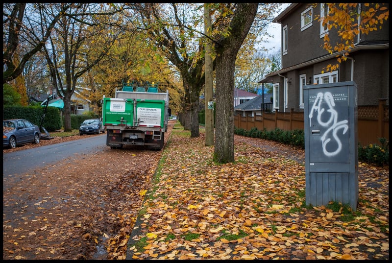 Lawn Care