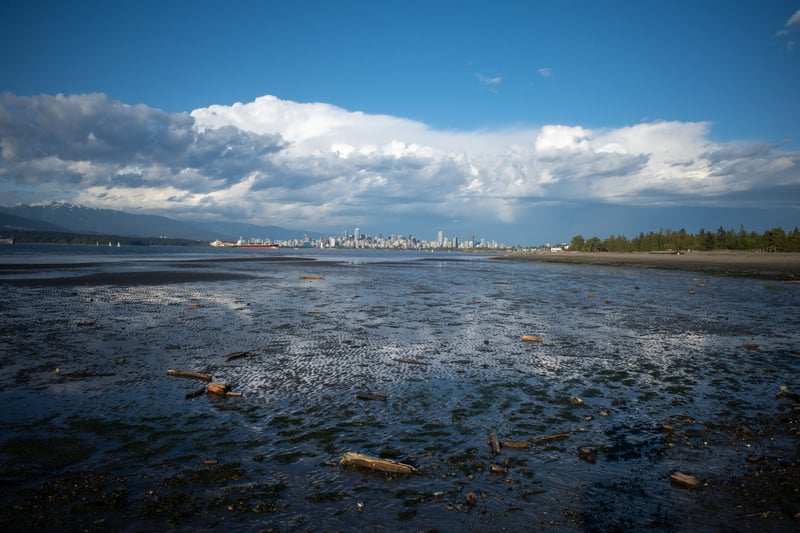Low Tide at Spanish Banks
