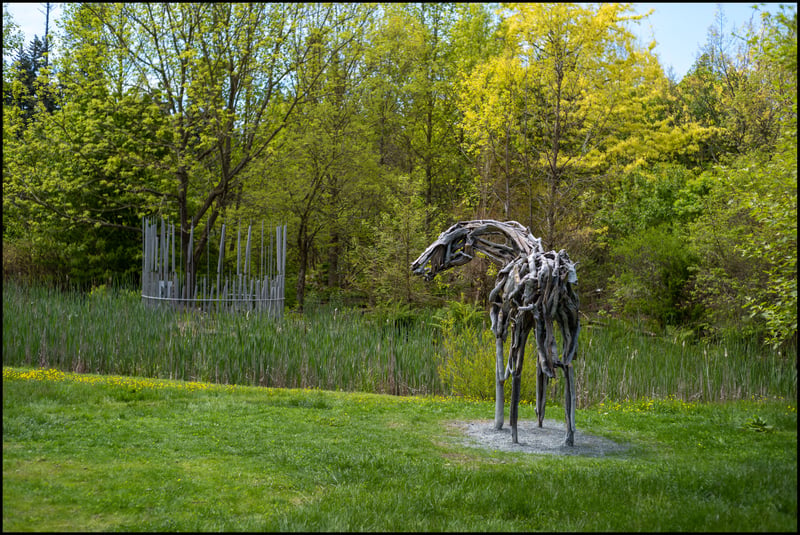 Tree Horse, Leica M10 & 50mm Sonnar