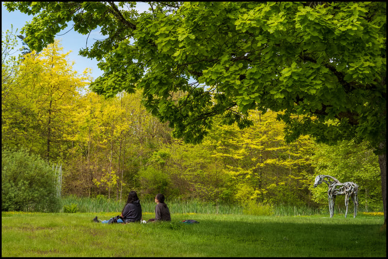 In the Meadow with the Tree Horse, Leica M10 & 50mm Sonnar