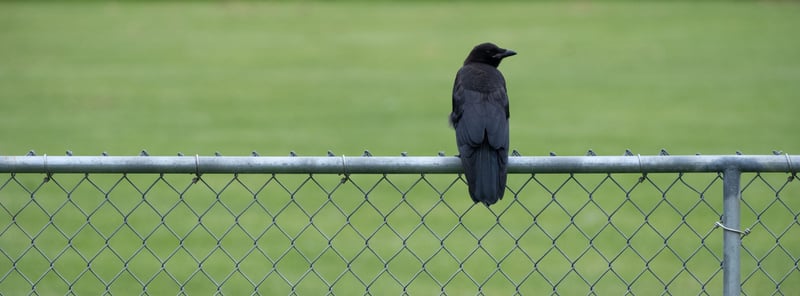 Jun 19, 2022 · Fujifilm X-T2 · XF70-300mmF4-5.6 R LM OIS WR (289mm)