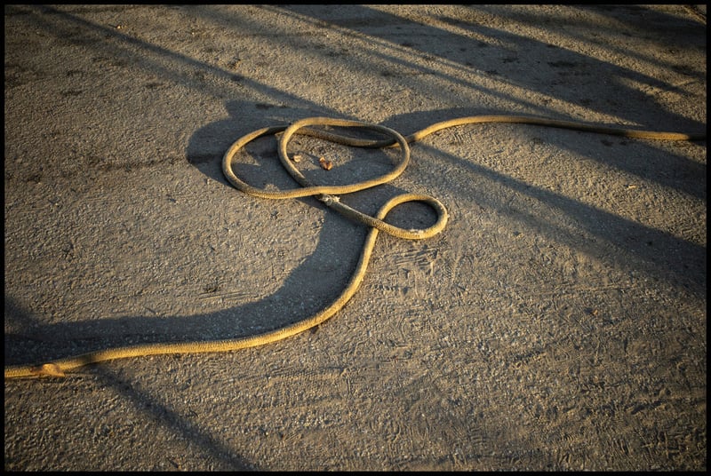 Rope & Shadows, Ricoh GR3