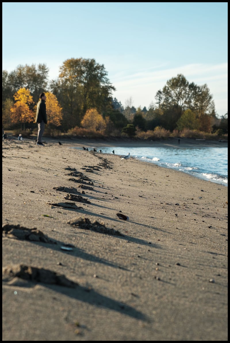 Footprints 1