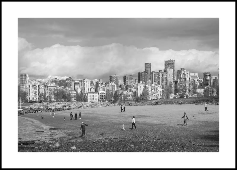 Kits Dog Beach - Leica M10, Voigtlander 75mm f2.5 Color Heliar