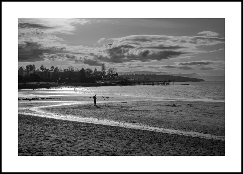 Late Afternoon Low Tide - Leica M10, Zeiss 50mm f1.5 ZM Sonnar